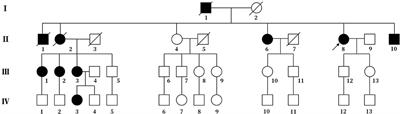 Familial Hemiplegic Migraine With Progressive Cerebellar Ataxia Caused by a p.Thr666Met CACNA1A Gene Mutation in a Chinese Family